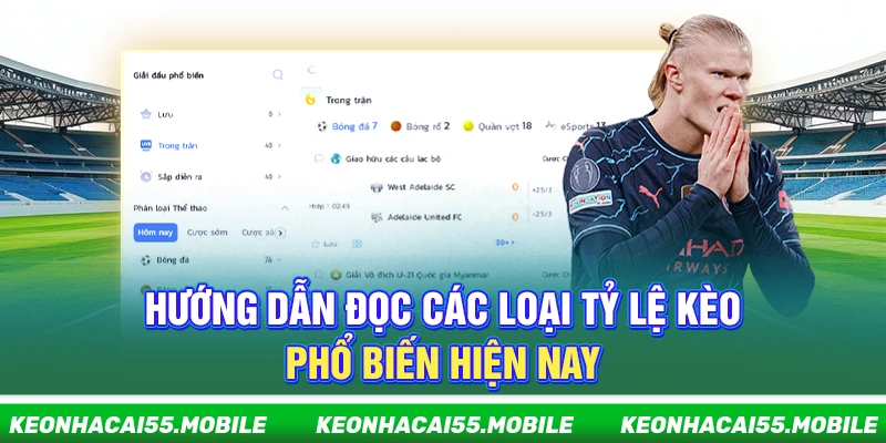 Kèo Nhà Cái Mobile ⭐️ Soi Tỷ Lệ Kèo Bóng Đá, Keonhacai Trực Tiếp 23 Hướng dẫn đọc các loại tỷ lệ kèo phổ biến hiện nay