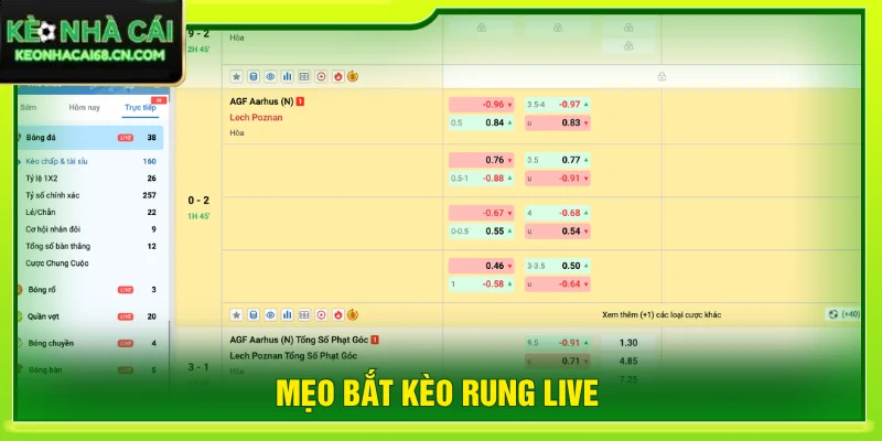 Mẹo Bắt Kèo Rung Live Hiệu Quả Với 3+ Tips Đọc Trận Hay 1 mẹo bắt kèo rung live