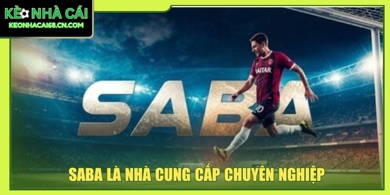 Trang Cá Độ Bóng Đá Uy Tín - 3+ Tiêu Chí Quan Trọng Nhất 3 Saba là nhà cung cấp chuyên nghiệp