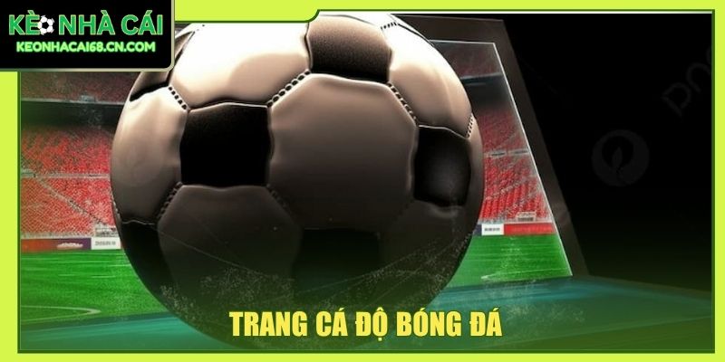 Trang Cá Độ Bóng Đá Uy Tín - 3+ Tiêu Chí Quan Trọng Nhất 1 trang cá độ bóng đá