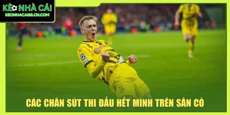 Borussia Dortmund: Biểu Tượng Tham Vòng Bóng Đá Vùng Ruhr 4 Các chân sút thi đấu hết mình trên sân cỏ