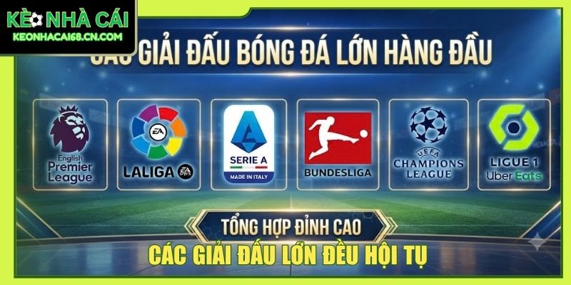 Các giải đấu lớn đều hội tụ