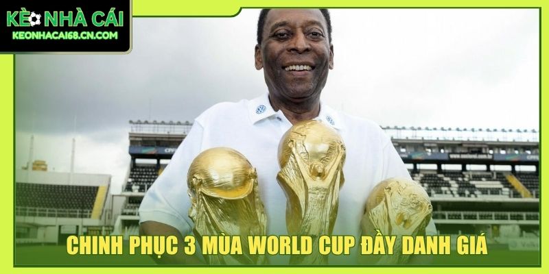 Pelé: Huyền Thoại Bóng Đá Vĩ Đại Nhất Lịch Sử Thế Giới 4 Chinh phục 3 mùa World Cup đầy danh giá