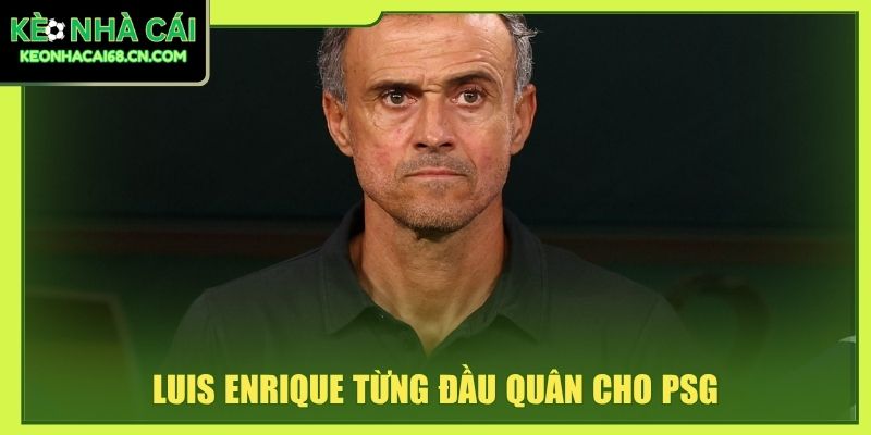 Luis Enrique - Hành Trình Dẫn Dắt Barca, Tây Ban Nha Và PSG 3 Luis Enrique từng đầu quân cho PSG